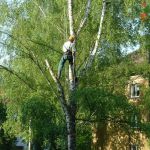 parkoviště